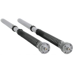 Cartucho Susp Del   FGK 217   Öhlins