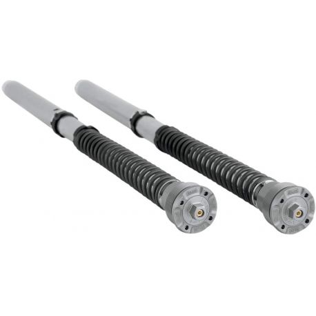 Cartucho Susp Del   FGK 217   Öhlins